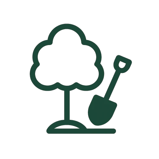 New tree being planted in a prepared soil bed