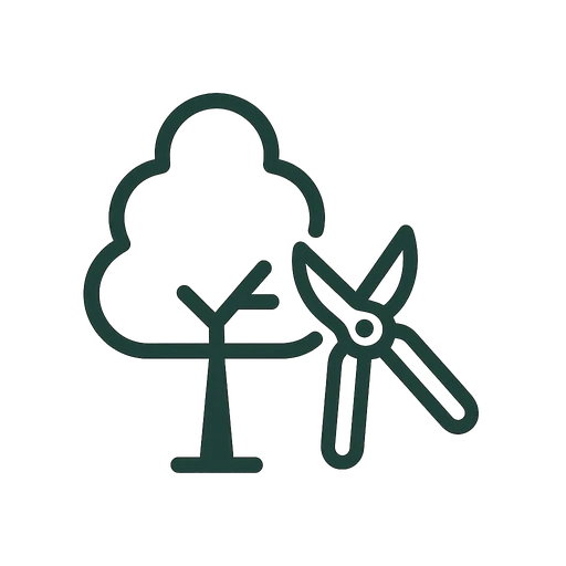 Precise pruning cut being made on a mature branch